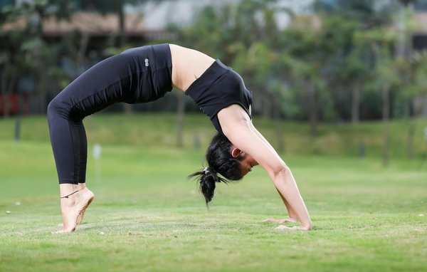 Weet Wat Je Ontbreken Om Te Speelgoed Past Innerlijk . Zuid-Holland   Try It Now