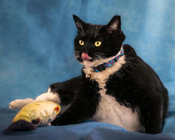 What Deposit Methods Bathroom 1 Enjoyment -- New Zealand market Win Big Today